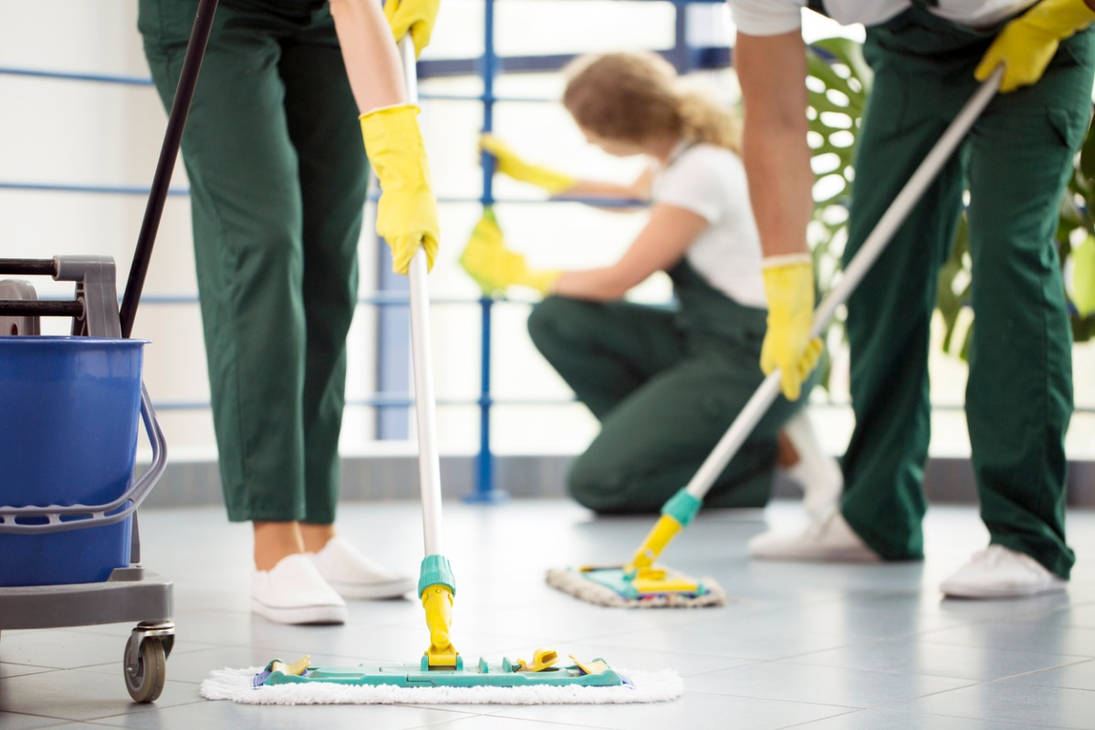 Expert Floor Maintenance and Care Services